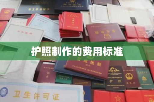 界首护照制作的费用标准